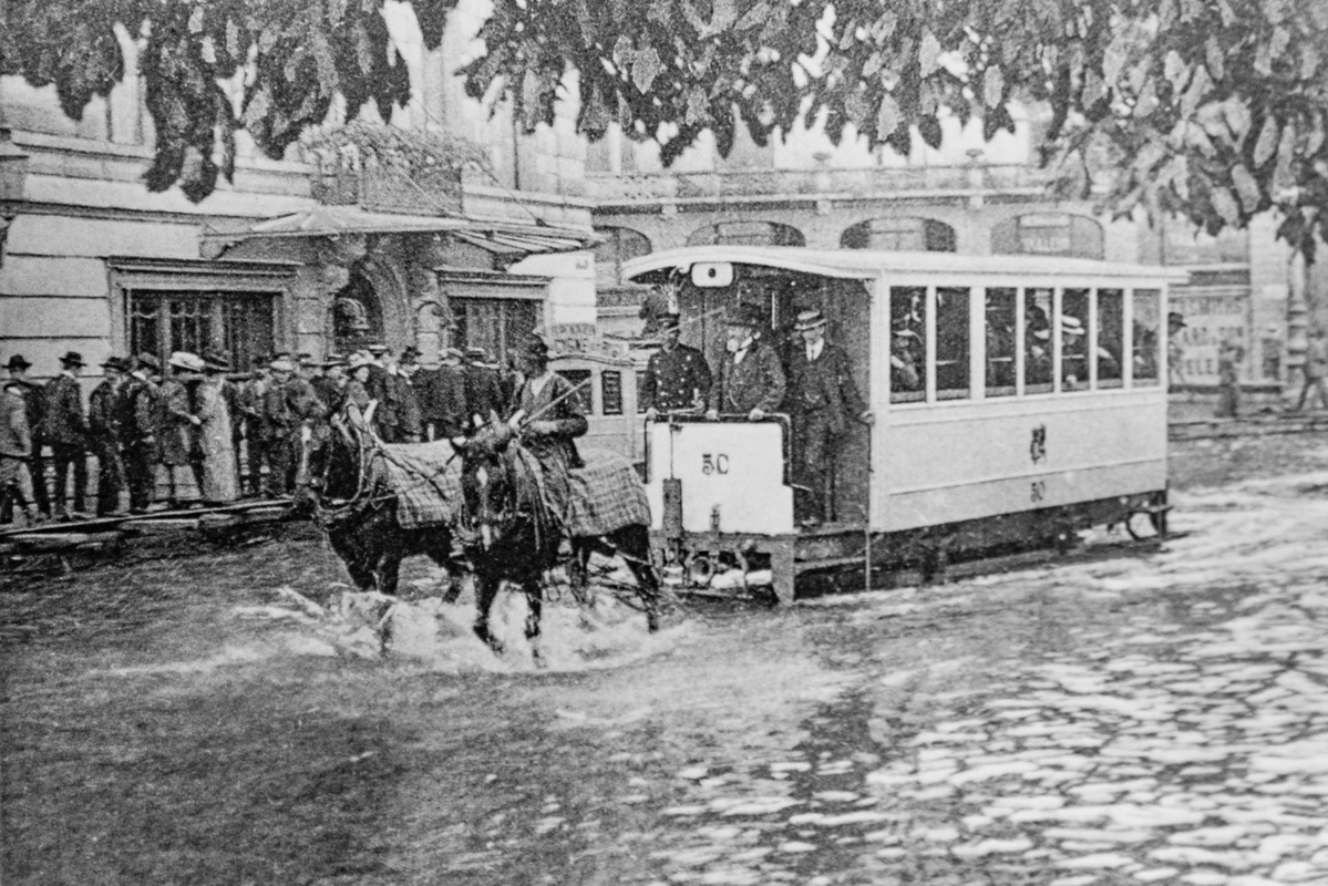 (Verlag E. Synnberg & R. v. Pfyffer, Phot. Luzern) (Verlag E. Synnberg & R. v. Pfyffer, Phot. Luzern)