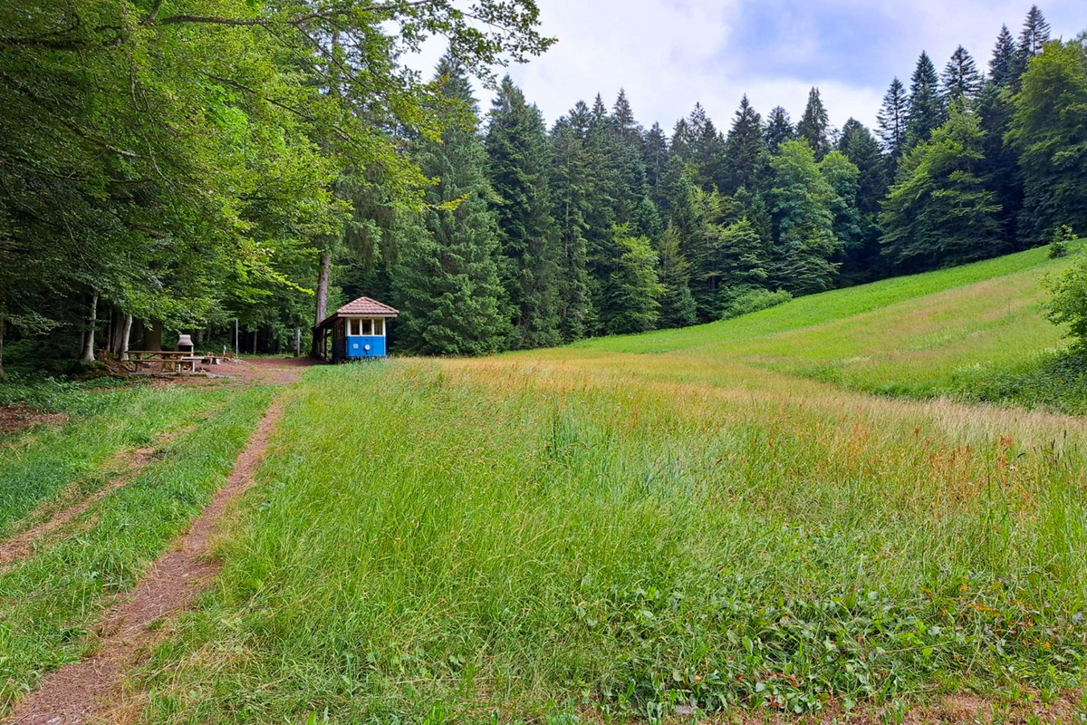 Tramstation im Chilewald, heute genutzt als Picknick-Unterstand mit Feuerstelle. Tramstation im Chilewald, heute genutzt als Picknick-Unterstand mit Feuerstelle.
